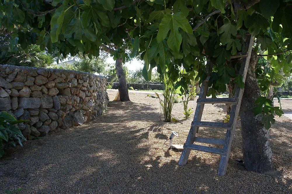 Cas Cabo Nou Agroturismo Adults Only Sant Llorenc Des Cardassar Farm stay